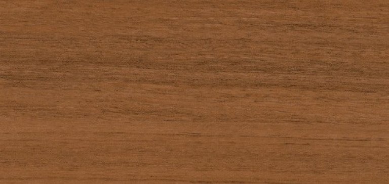 IC055 Corteccia